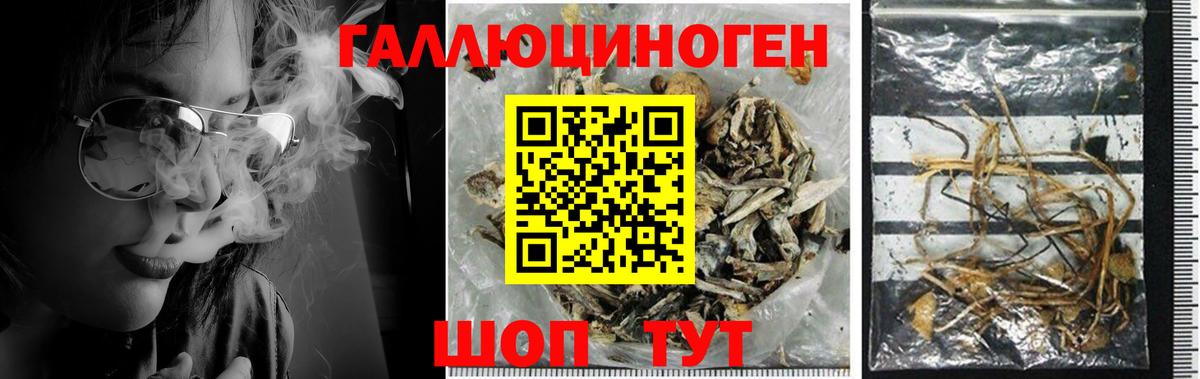 Псилоцибиновые грибы ЛСД  Псилоцибиновые грибы прущие грибы  Нефтеюганск  Вход с VPN 